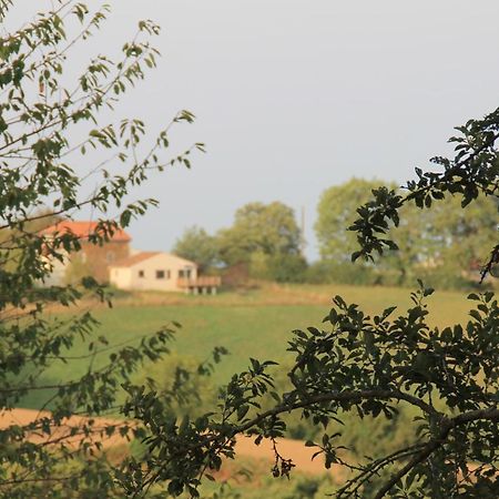 Pour Les Amoureux De La Nature. Saint-Cirgue エクステリア 写真